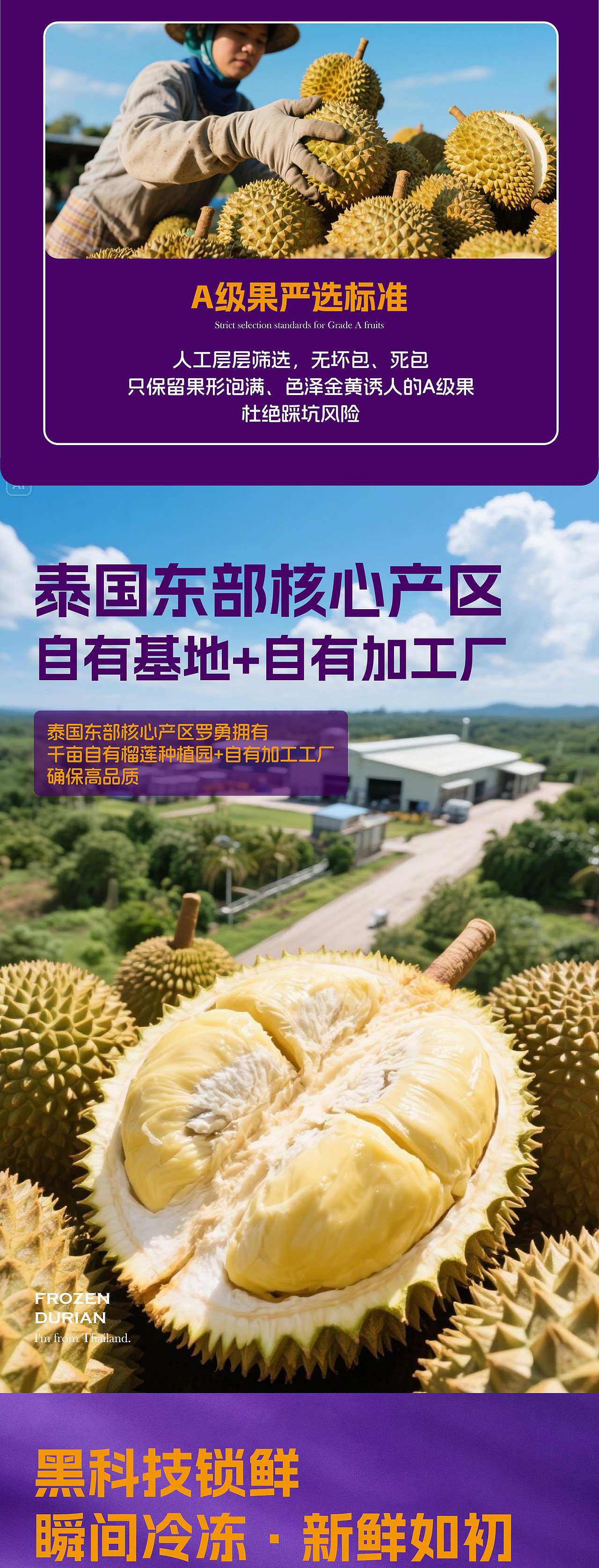 榴泰来·冷冻榴莲肉品牌设计 电商详情页设计