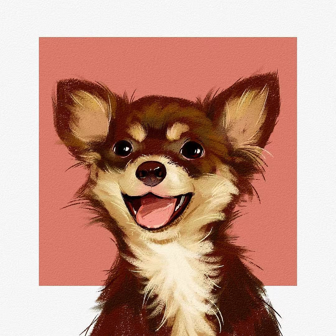 最近爱上了画猫猫狗狗（图ZMzk0NzExNjYw） - 创作习作 - 站酷设计师是没名啊原创素材 - 站酷ZCOOL