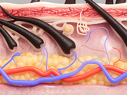 群友發(fā)的圖，好看，非常想臨摹