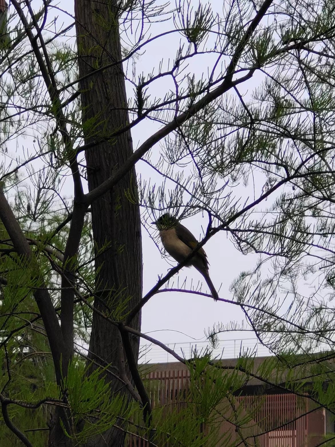同一个地方 孤独的岛屿会找到海