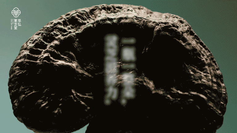 [山寻MOUNTFOUND] 灵芝露酒｜爆品全案（图ZMzk0NzM5NjQw） - 包装 - 站酷设计师没创意研究所原创素材 - 站酷ZCOOL