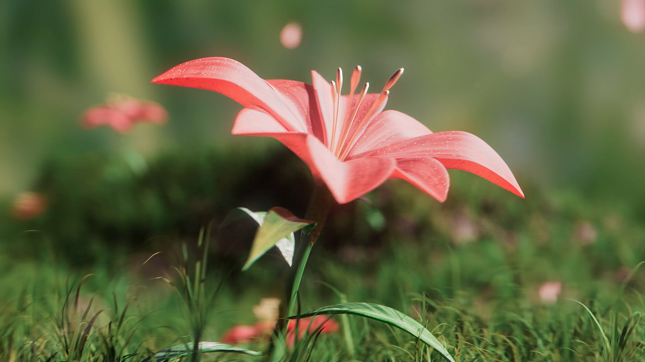 美妆 三维动画制作 C4D产品动画 3D动画（图ZMzk0NzQ2NzY0） - 产品 - 站酷设计师十月早安原创素材 - 站酷ZCOOL