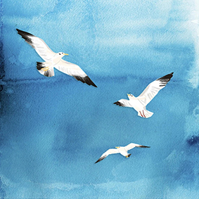 阿序设计的个人主页（背景预览） - 主页背景设置 - 站酷设计师阿序设计原创素材 - 站酷ZCOOL