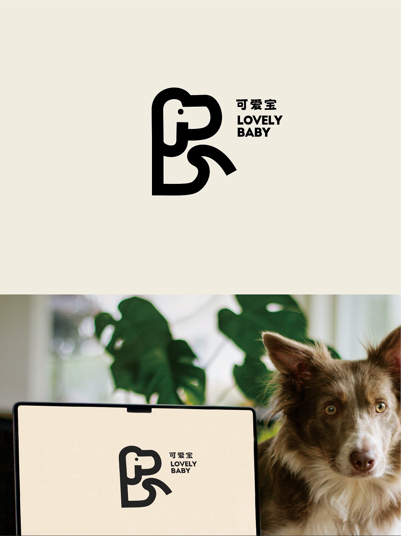 【 晴夏2025晴夏设计合集5 】干净的设计你定是喜欢的