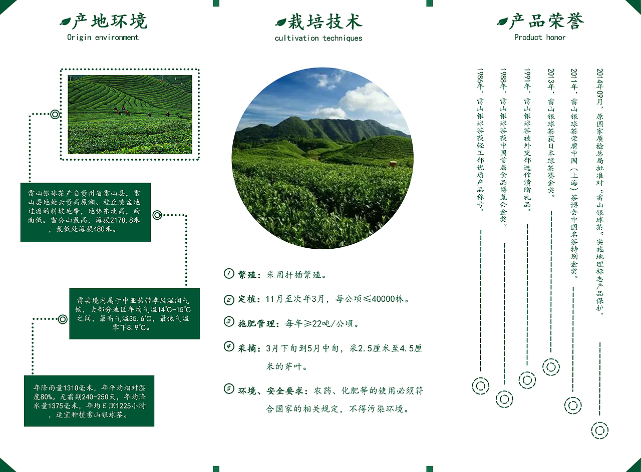 折页宣传册——雷山银球茶
