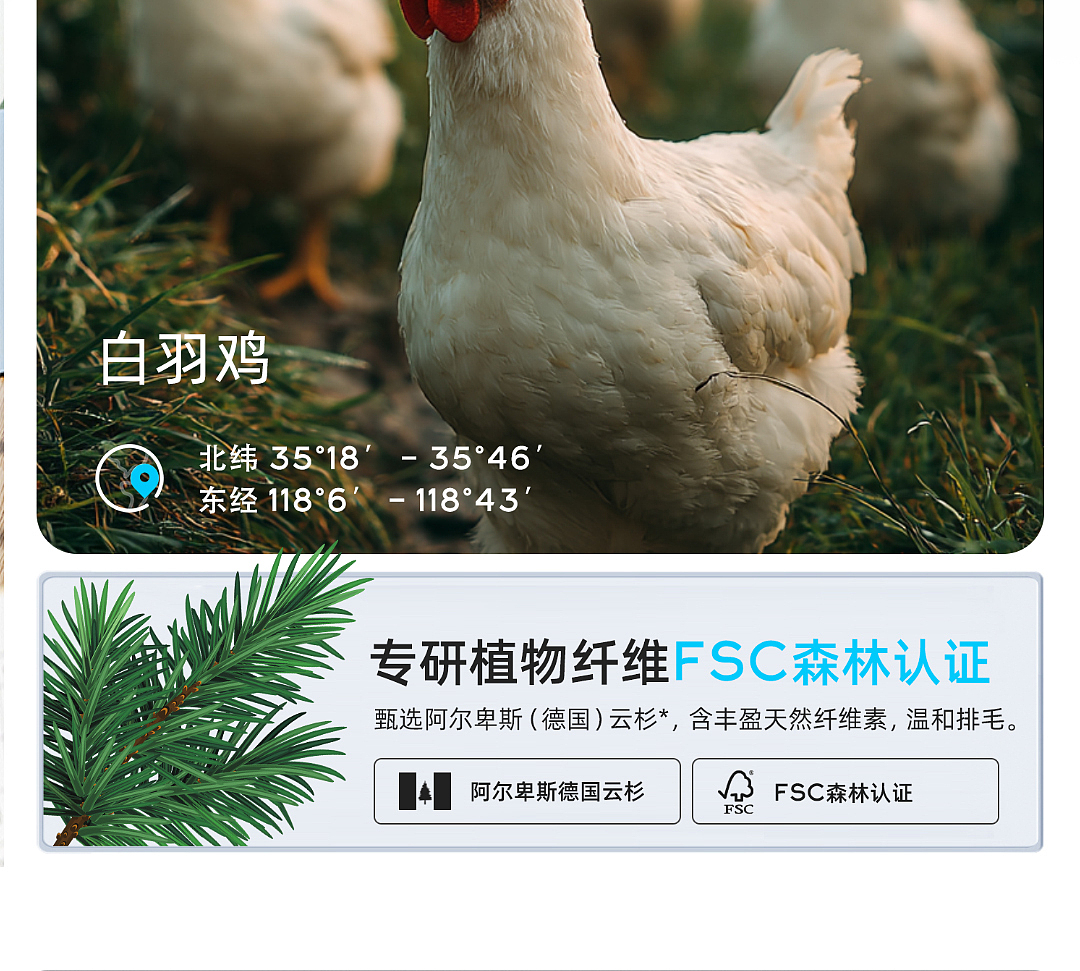 猫条详情页设计猫狗宠物零食详情主图建模渲染海报设计