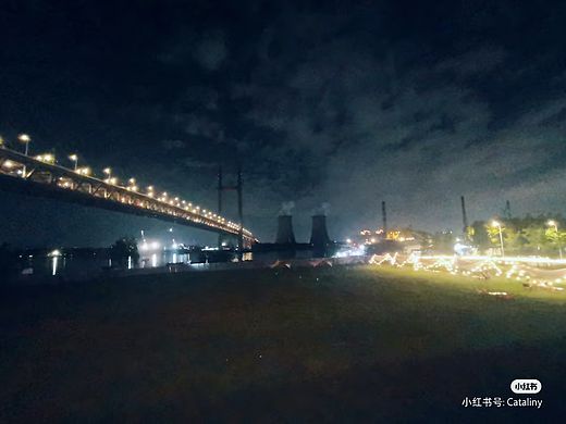 浦江暮色笔记:从渡轮汽笛到森林呼吸