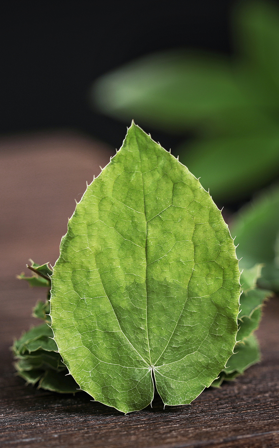 红糖/黄芪/淫羊藿/野生菌/菌子鸡