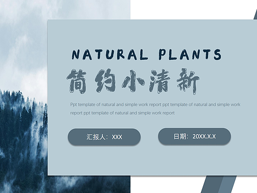 PPT简约小清新模板