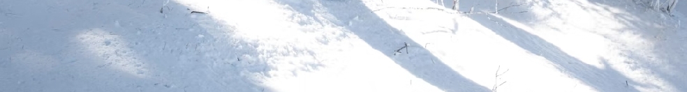 鴿繪盈的個人主頁（封面預覽） - 主頁封面設置 - 站酷設計師鴿繪盈原創(chuàng)素材 - 站酷ZCOOL