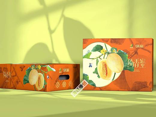 ｛原创｝蜜瓜水果礼盒连枝带叶写实风格包装设计