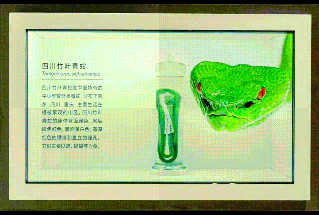 △ 展现形式:全息透明屏标本展示设备