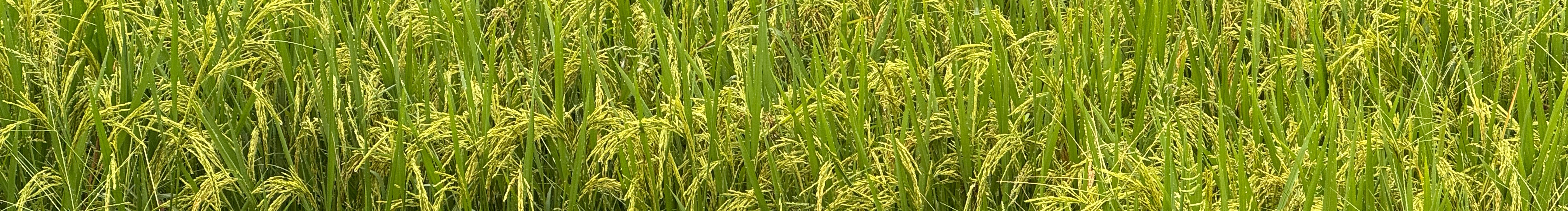 林达视觉的个人主页（封面预览） - 主页封面设置 - 站酷设计师林达视觉原创素材 - 站酷ZCOOL