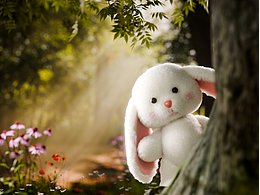 玩偶小兔