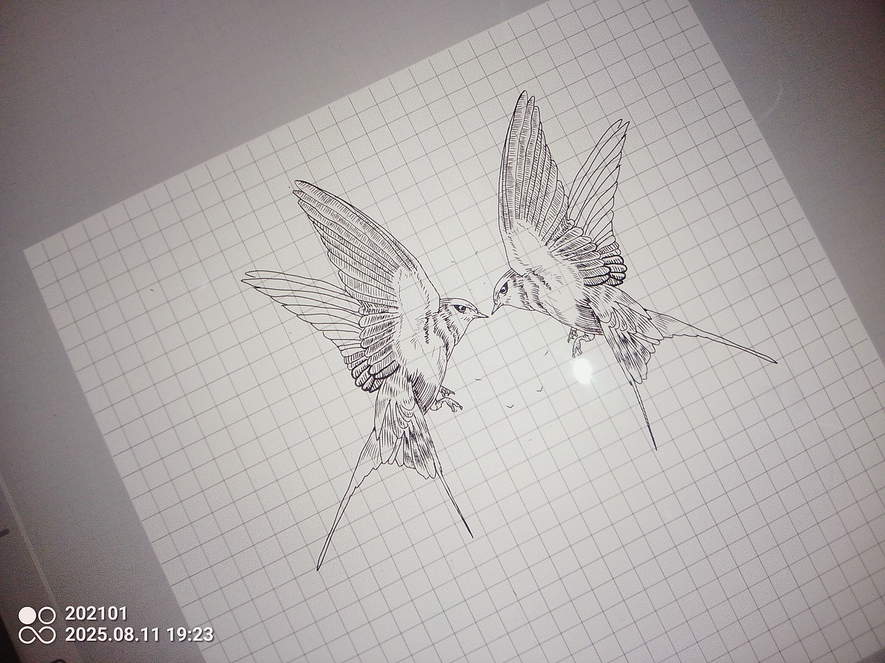 燕（图ZMzk0ODgwODc2） - 商业插画 - 站酷设计师鏮莰原创素材 - 站酷ZCOOL