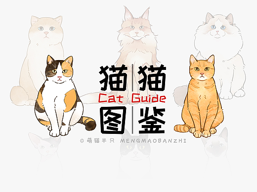 猫猫图鉴