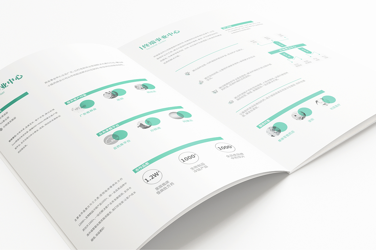 画册、折页设计