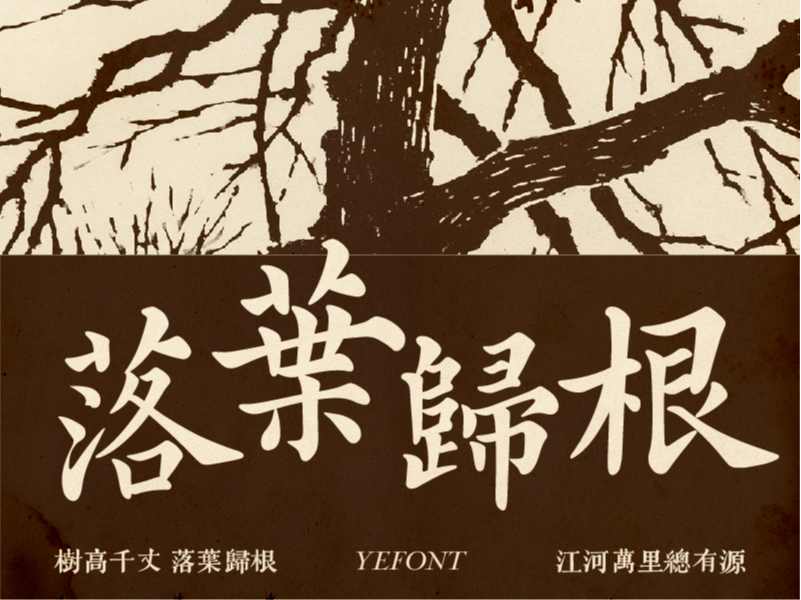 族譜復(fù)刻 | 探索用字體留存獨(dú)家記憶的方式