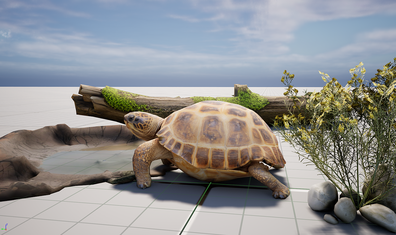 国家珍惜保护动物AR项目（图ZMzk0OTA3OTg4） - 人物/生物 - 站酷设计师肖大虾原创素材 - 站酷ZCOOL