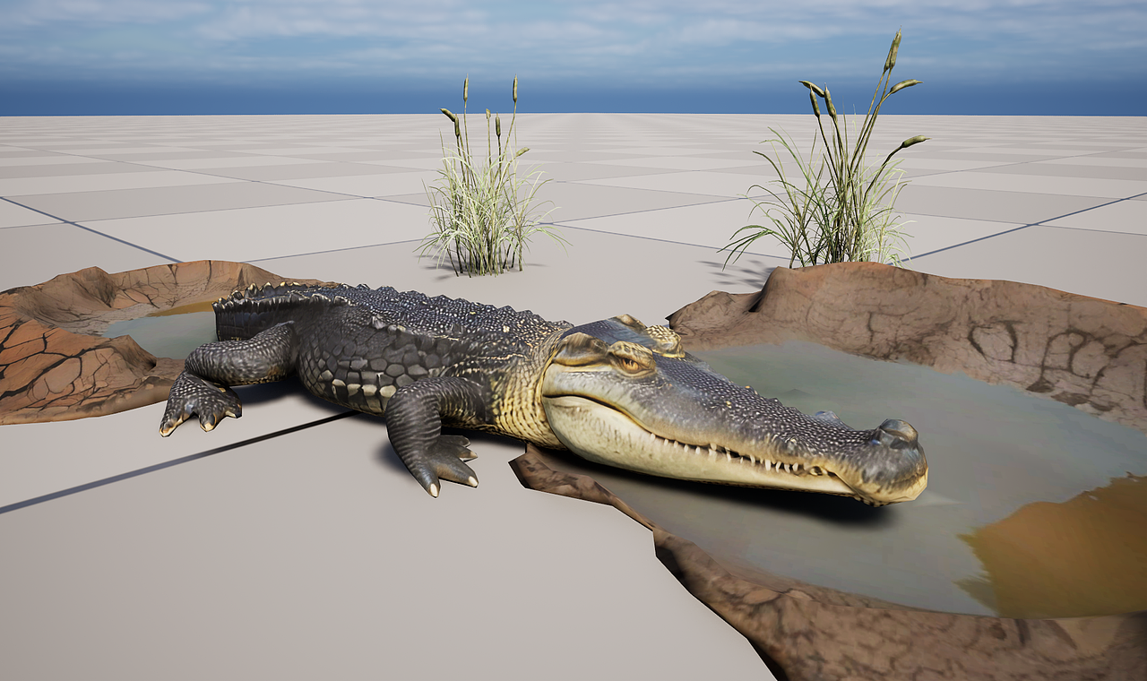 国家珍惜保护动物AR项目（图ZMzk0OTA3OTky） - 人物/生物 - 站酷设计师肖大虾原创素材 - 站酷ZCOOL