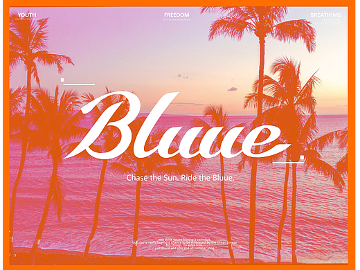 [Bluue]夏日海浪系品牌视觉设计