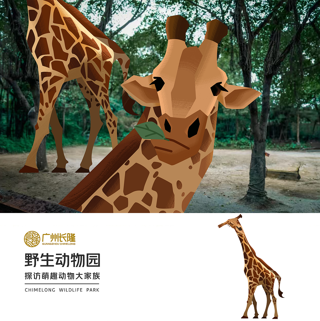 CHIMELONG SAFARI PARK