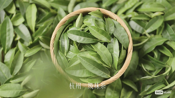 食品品牌摄影|美心生活.抹茶黄油酥饼XSGCM拾光制片廠