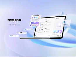 项目经验