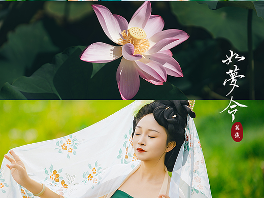 如梦令.荷花汉服人像拍摄