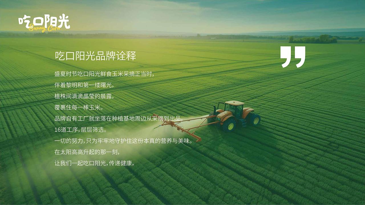 品牌logo包装形象设计vi设计（图ZMzk0OTU1ODc2） - 品牌 - 站酷设计师耘初品牌设计原创素材 - 站酷ZCOOL
