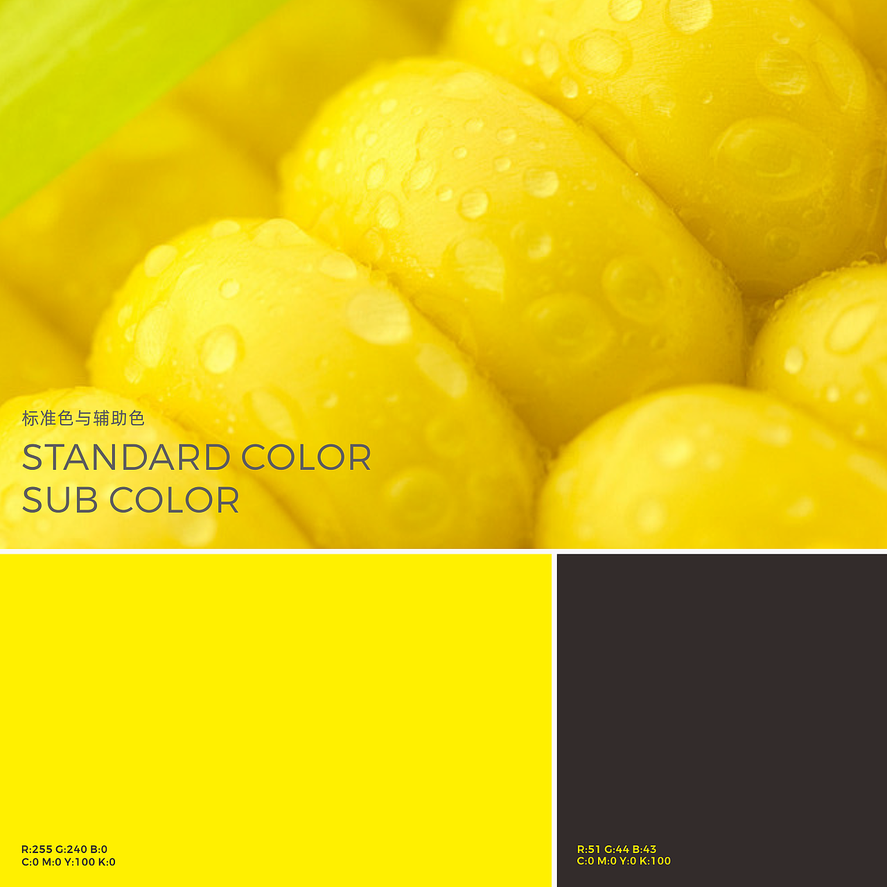 苞谷翁 ︳领鲜到家（图ZMzk0OTY5NzEy） - Logo - 站酷设计师觉士品牌包装设计原创素材 - 站酷ZCOOL