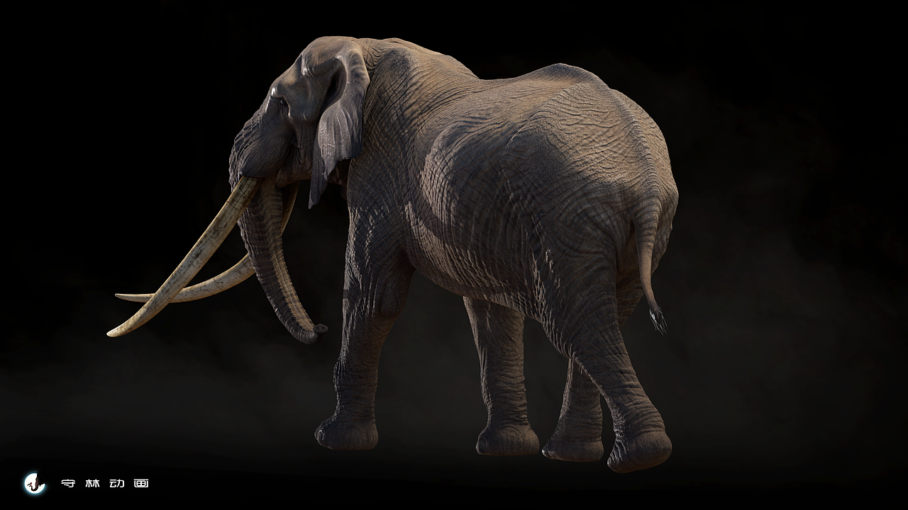 我喜欢公象高耸的肩部和昂首挺胸的姿态,将“伟岸”形象的诠释出来