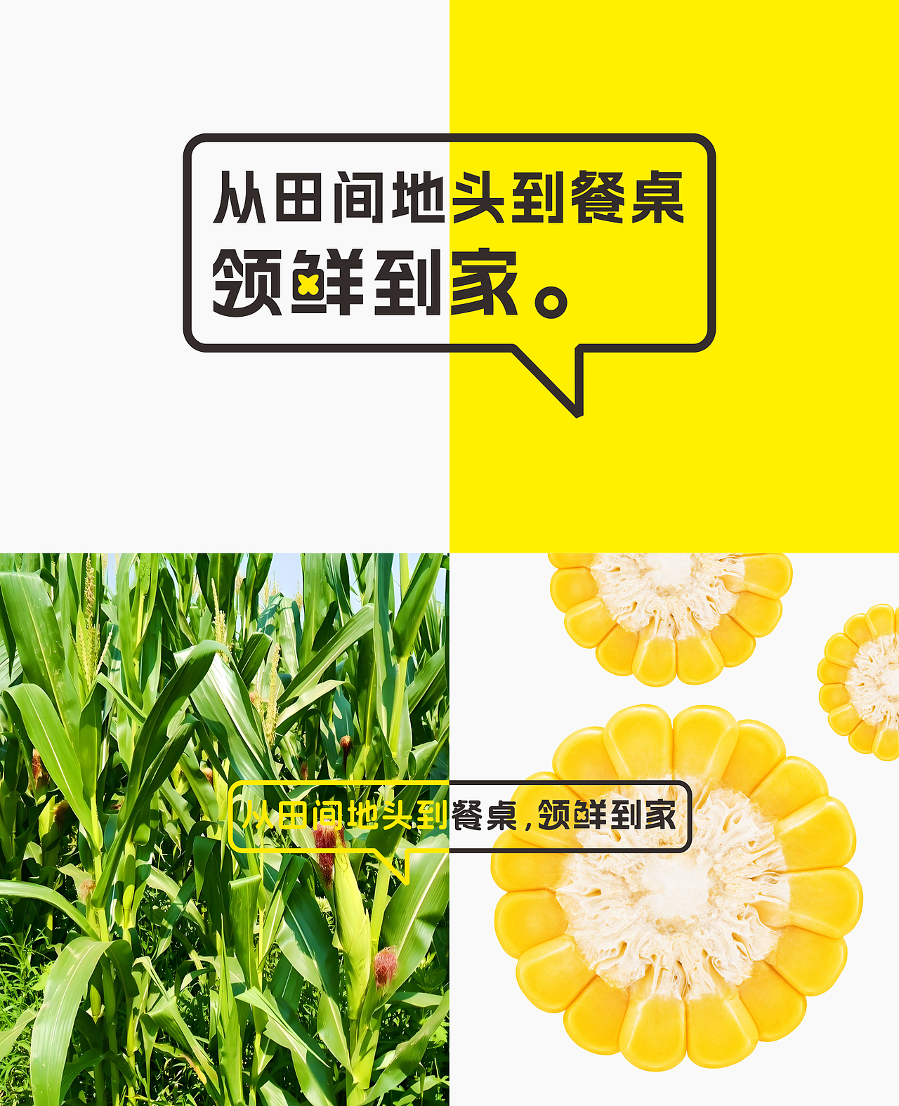 苞谷翁 ︳领鲜到家（图ZMzk0OTcwNDg4） - Logo - 站酷设计师觉士品牌包装设计原创素材 - 站酷ZCOOL