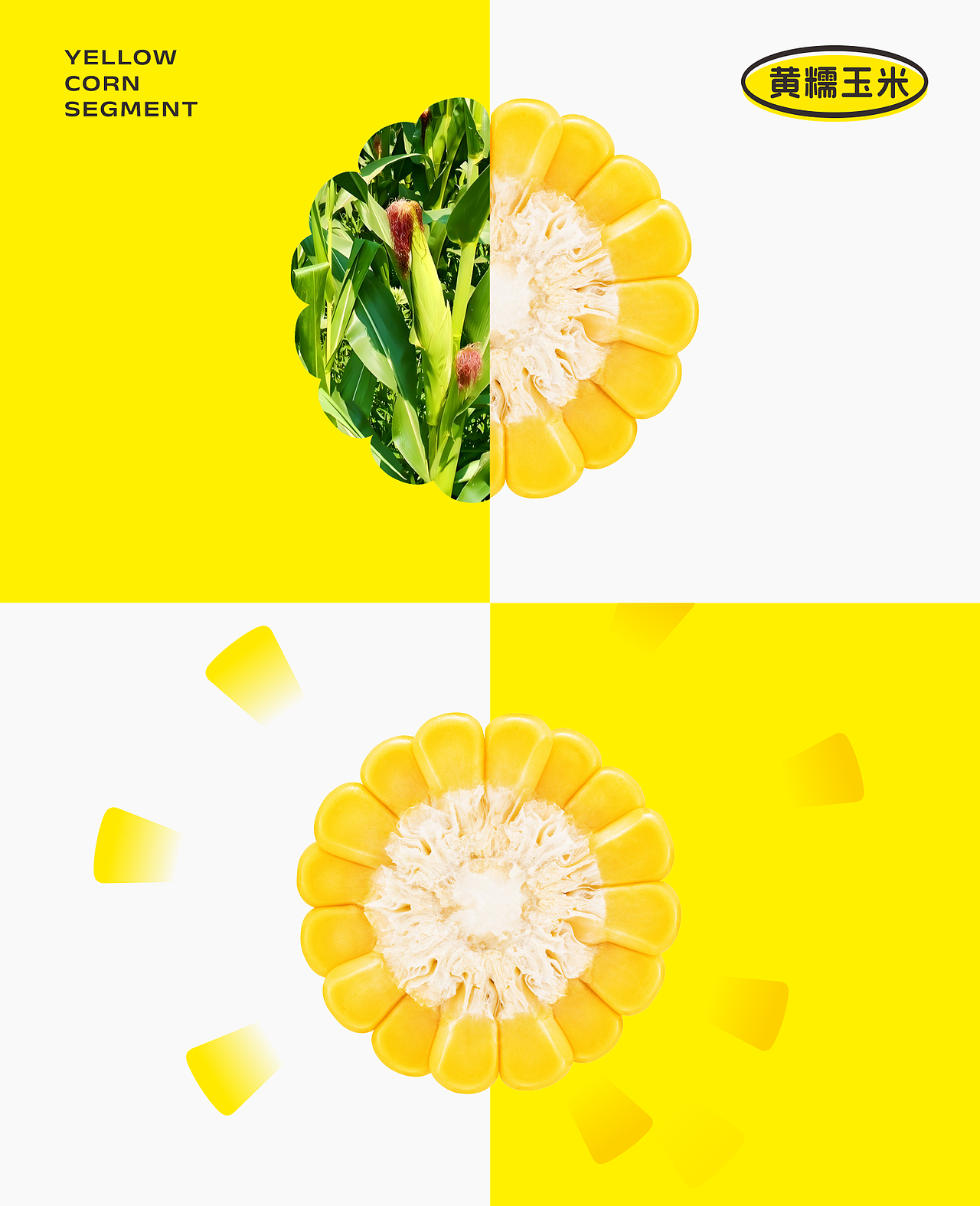 苞谷翁 ︳领鲜到家（图ZMzk0OTcwNDk2） - Logo - 站酷设计师觉士品牌包装设计原创素材 - 站酷ZCOOL