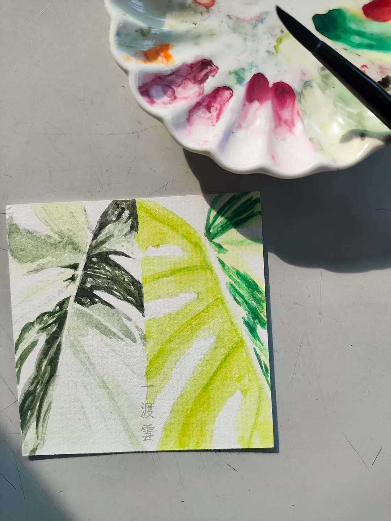 龟背竹水彩（图ZMzk0OTgxNTgw） - 创作习作 - 站酷设计师一渡雲原创素材 - 站酷ZCOOL