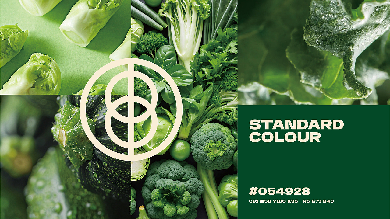 来点炸串品牌视觉设计