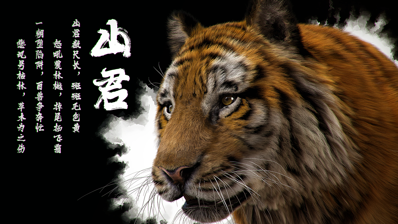 山君（图ZMzk1MDIzODg4） - 人物/生物 - 站酷设计师caesar444原创素材 - 站酷ZCOOL