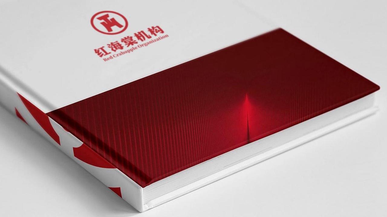 红海棠机构logo设计方案