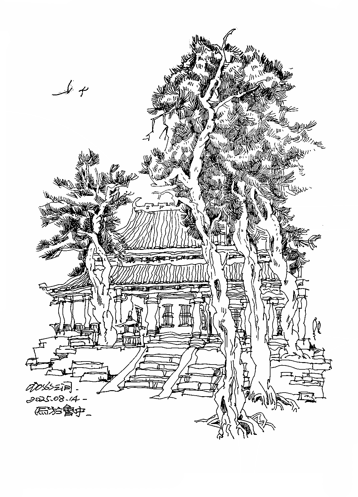 景观速写,关于园林。