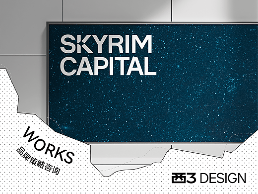 SKYRIM｜寻找最值得投资的一颗星