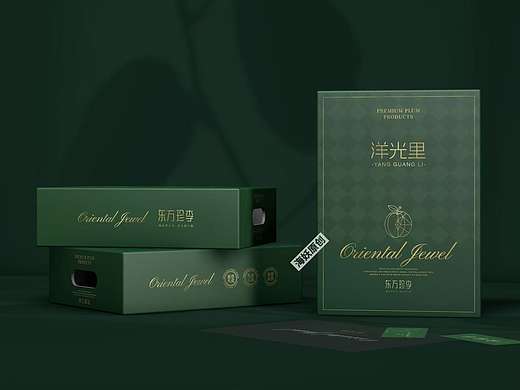 ｛原创｝李子水果礼盒手绘重工艺包装设计
