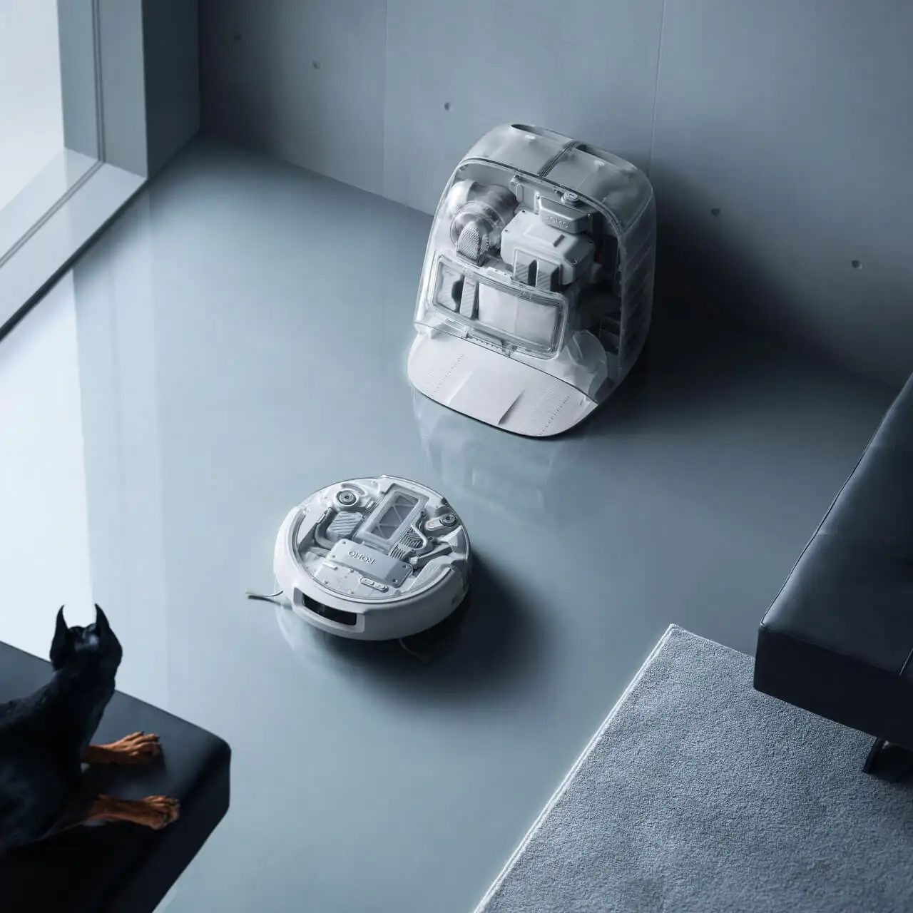 大疆发布透明扫地机器人/苹果 AI 机器人全家桶曝光/柯达被曝或无法持续运营