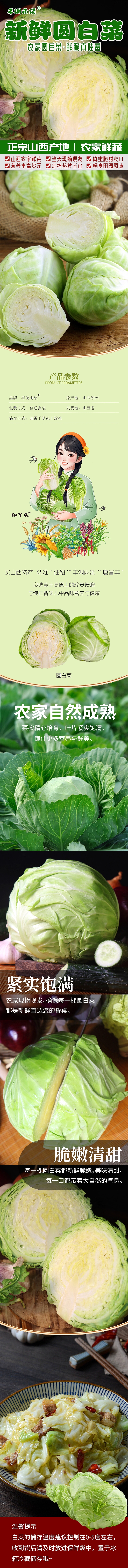 新鲜白菜详情图