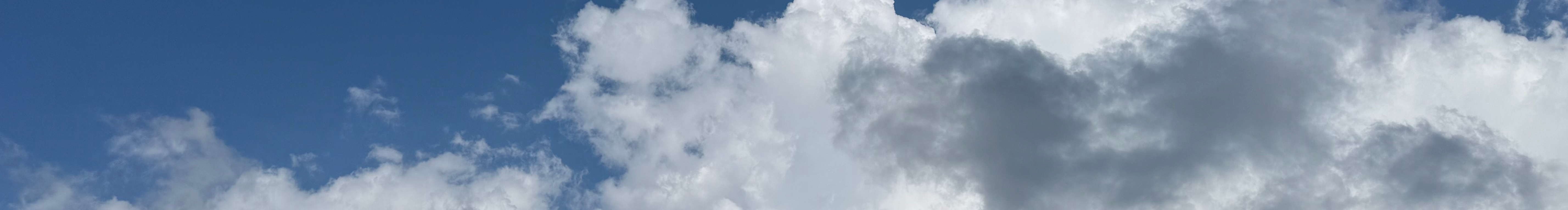 狗叔GOUSHU的个人主页（封面预览） - 主页封面设置 - 站酷设计师狗叔GOUSHU原创素材 - 站酷ZCOOL