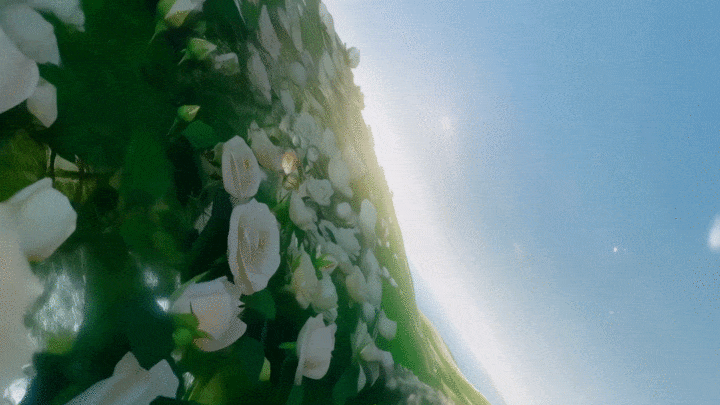 小罐茶 | 走进东方美人的奇幻茶香