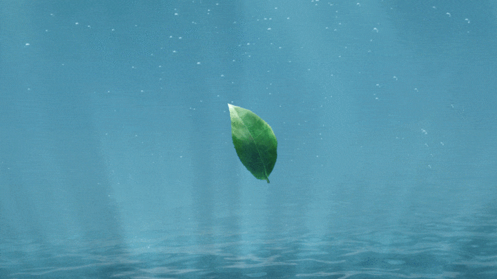 小罐茶 | 走进东方美人的奇幻茶香