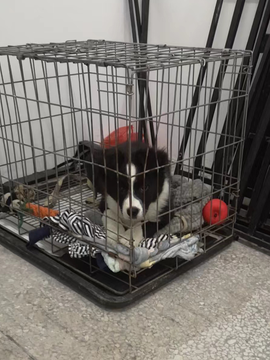 Lucifer and His Friends 螺螄粉和他的朋友們 第十篇（圖ZMzk1MDg0MTY4） - 短篇/格漫 - 站酷設(shè)計(jì)師辣辣柴原創(chuàng)素材 - 站酷ZCOOL