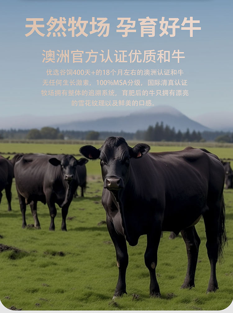 和牛肉馅详情设计