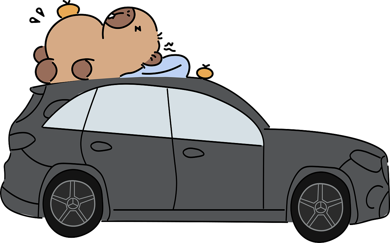 WAKAKA哇卡卡|奔驰卡皮巴拉活动|WAKAKA表情包