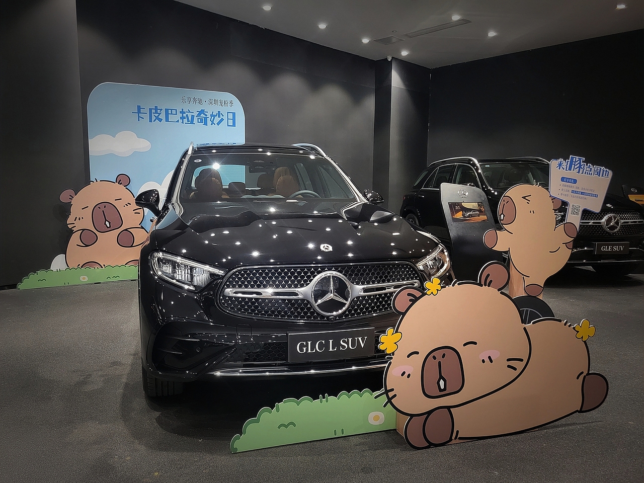 WAKAKA哇卡卡|奔驰卡皮巴拉活动|WAKAKA表情包